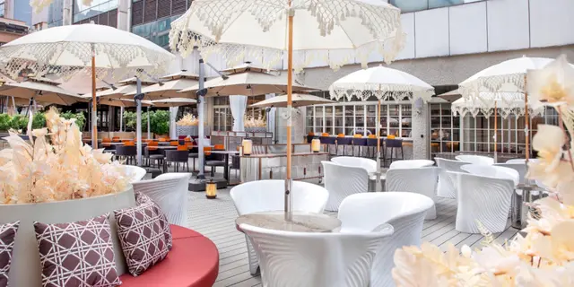 正價7折 單點餐牌